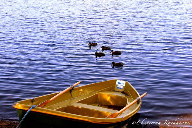 enallaktika.gr