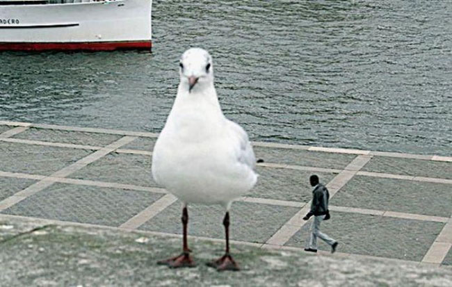enallaktika.gr