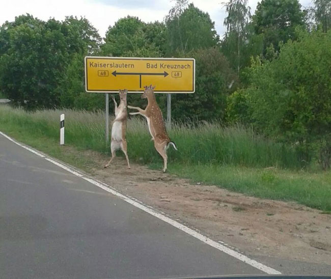enallaktika.gr