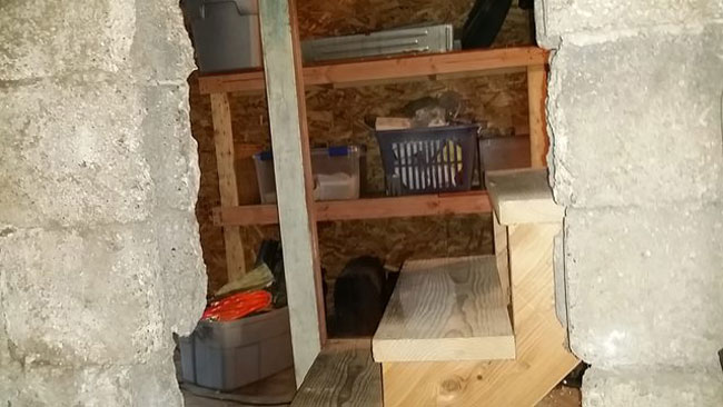 enallaktika.gr