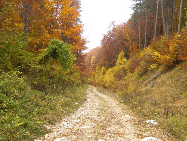 enallaktika.gr