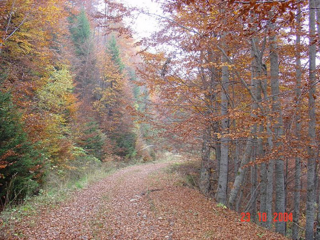enallaktika.gr