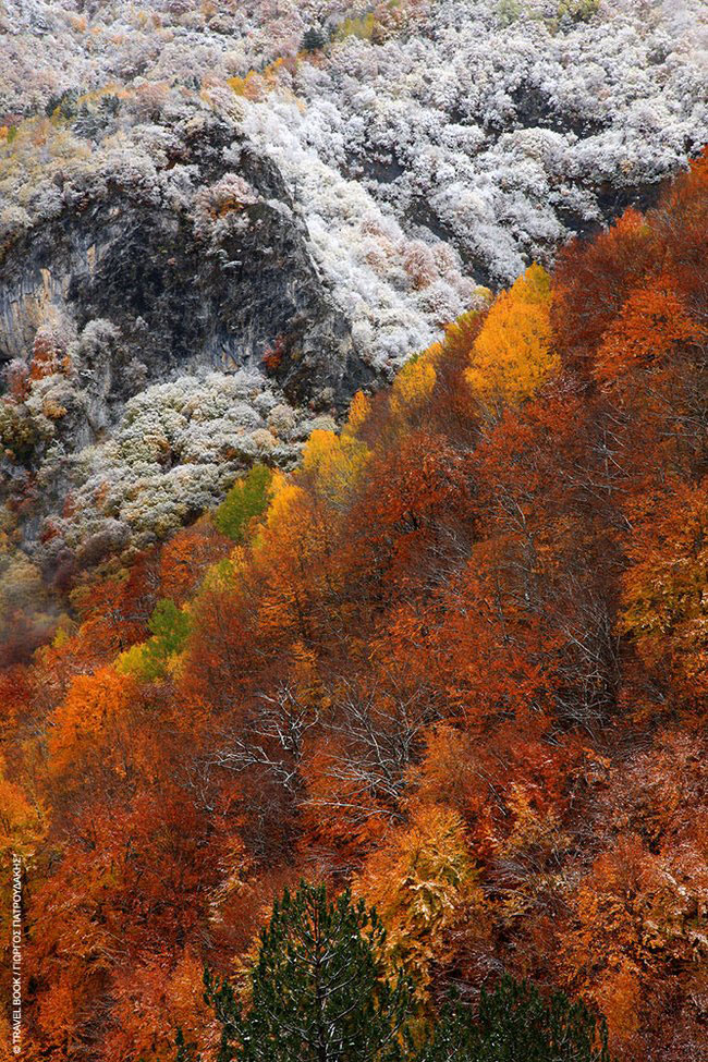 enallaktika.gr