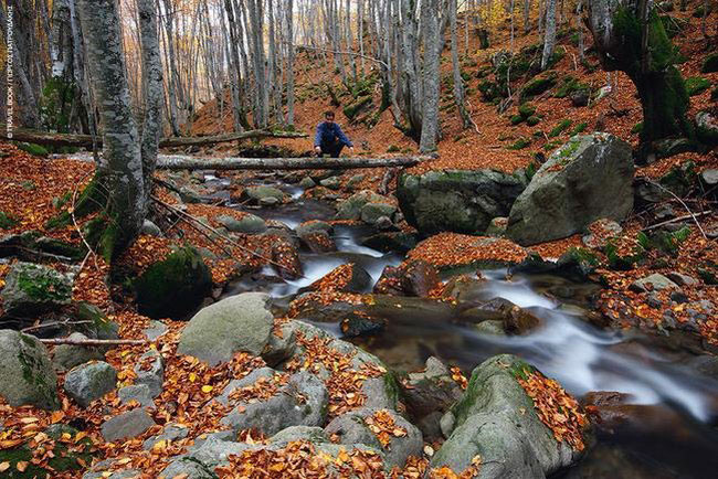 enallaktika.gr