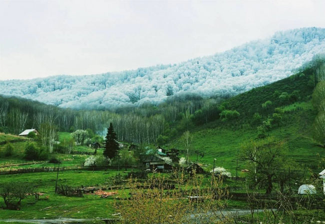 enallaktika.gr