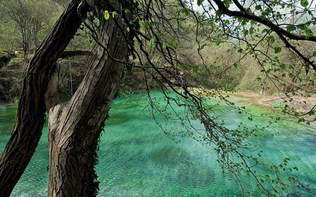 enallaktika.gr