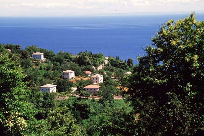 enallaktika.gr