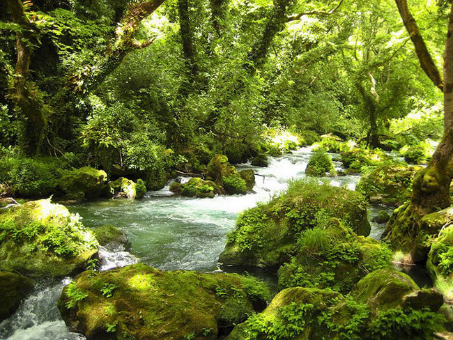 enallaktika.gr