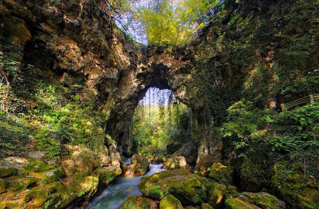 enallaktika.gr