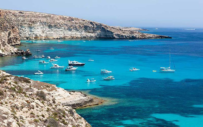 enallaktika.gr