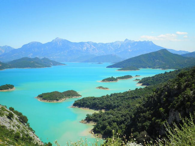 enallaktika.gr