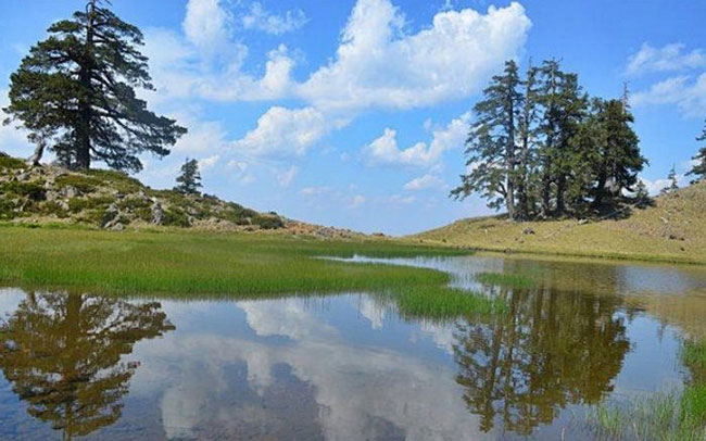 enallaktika.gr