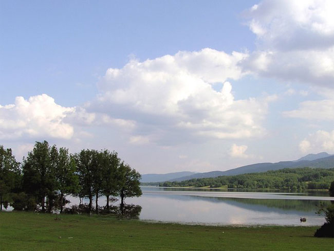 enallaktika.gr