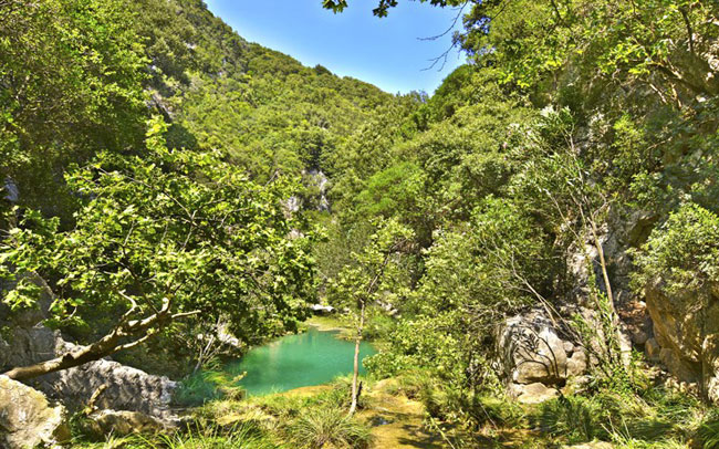 enallaktika.gr
