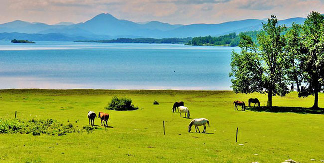 enallaktika.gr