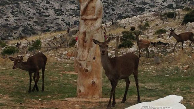 enallaktika.gr