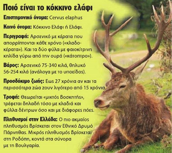 enallaktika.gr