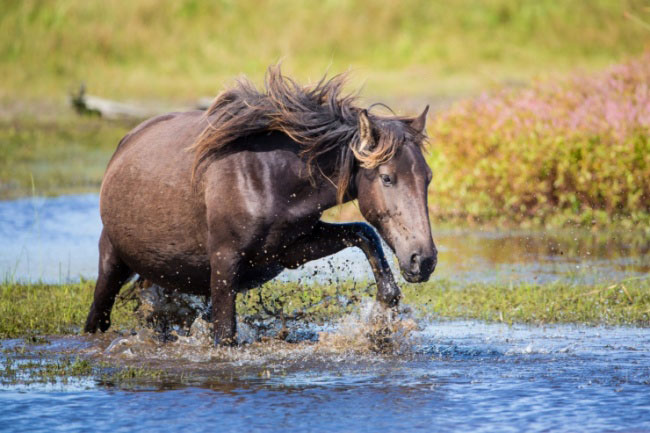 enallaktika.gr