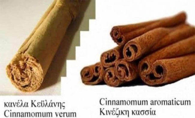 enallaktika.gr