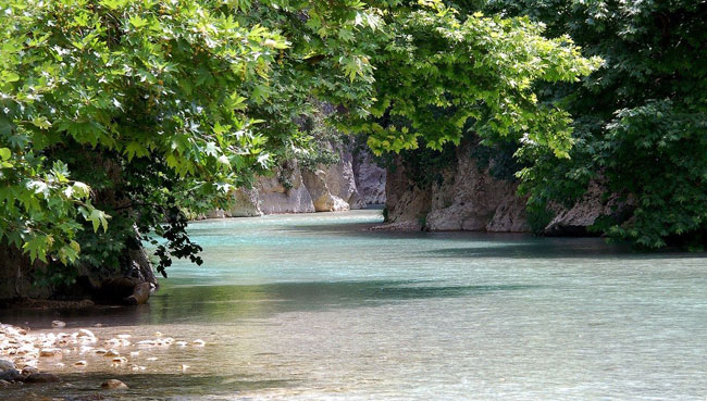 enallaktika.gr
