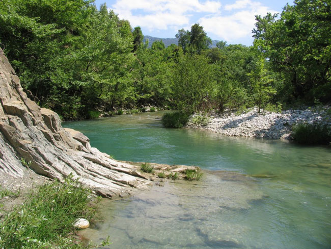 enallaktika.gr