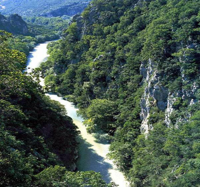 enallaktika.gr
