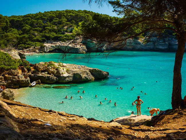 enallaktika.gr