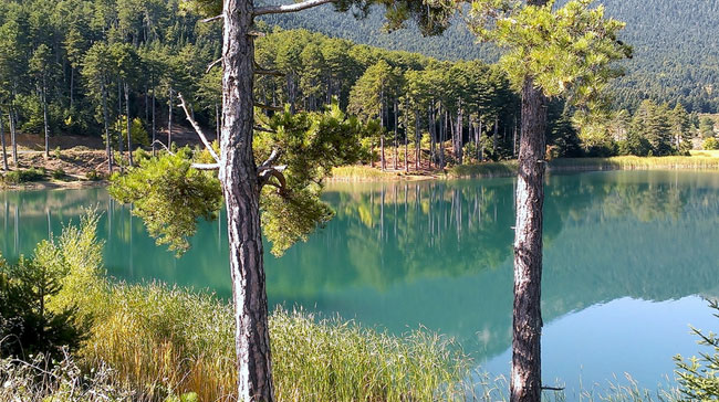 enallaktika.gr