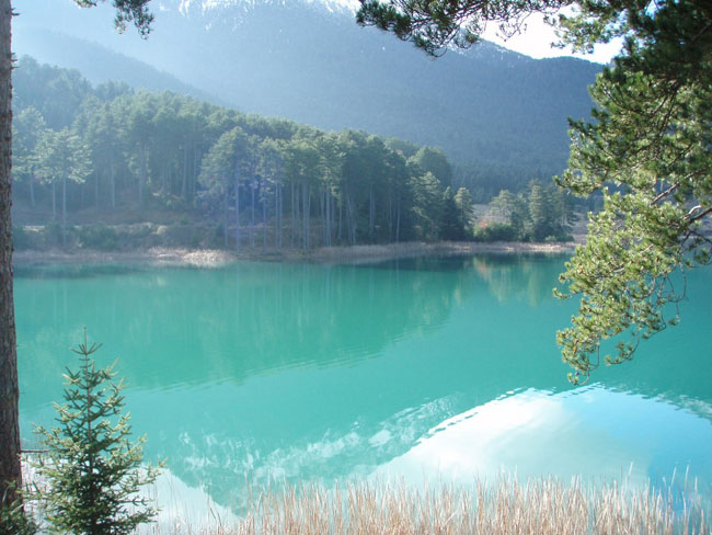 enallaktika.gr