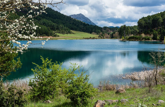 enallaktika.gr