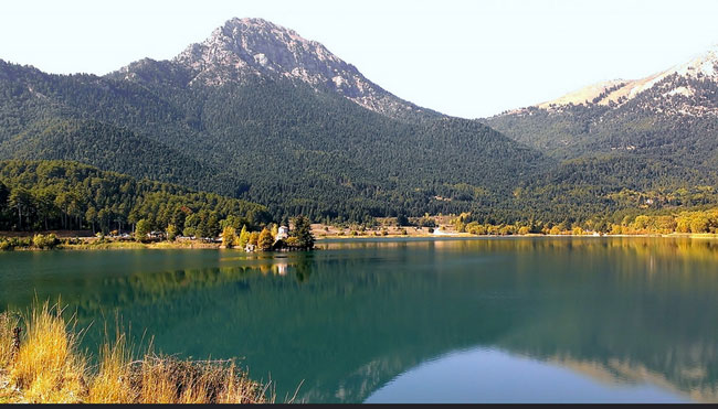 enallaktika.gr