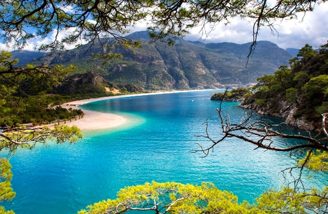 enallaktika.gr
