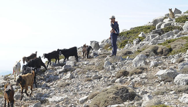 enallaktika.gr