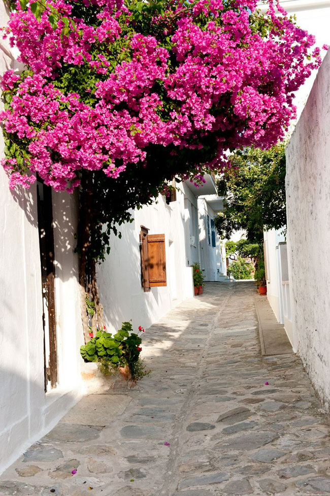 enallaktika.gr