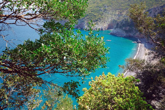 enallaktika.gr