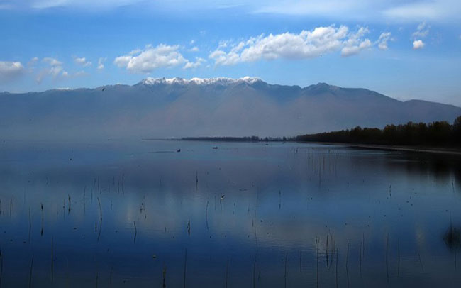 enallaktika.gr