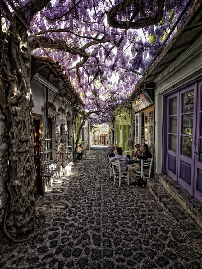 enallaktika.gr