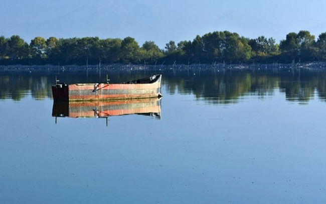 enallaktika.gr