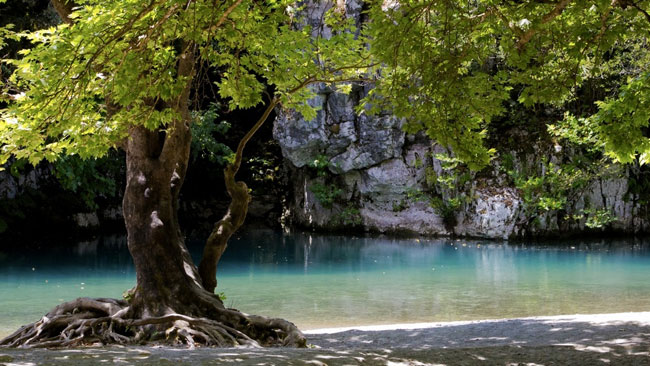 enallaktika.gr
