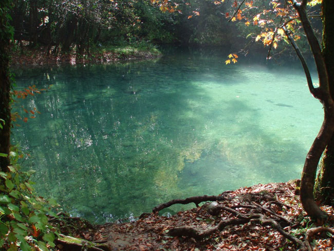 enallaktika.gr