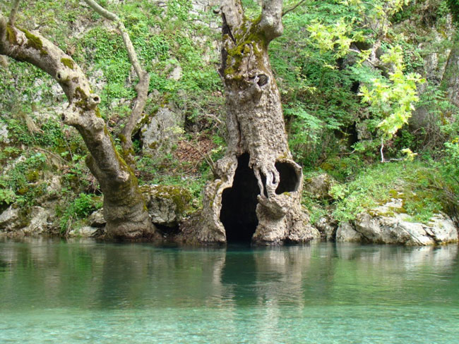 enallaktika.gr