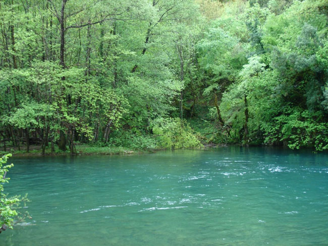 enallaktika.gr