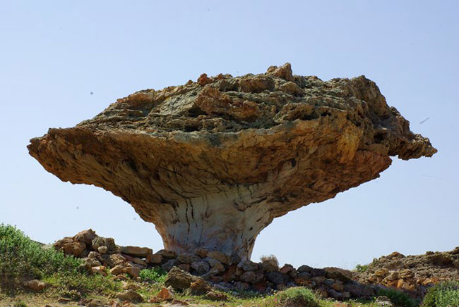 enallaktika.gr