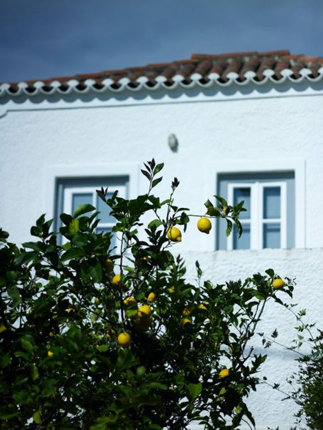 enallaktika.gr
