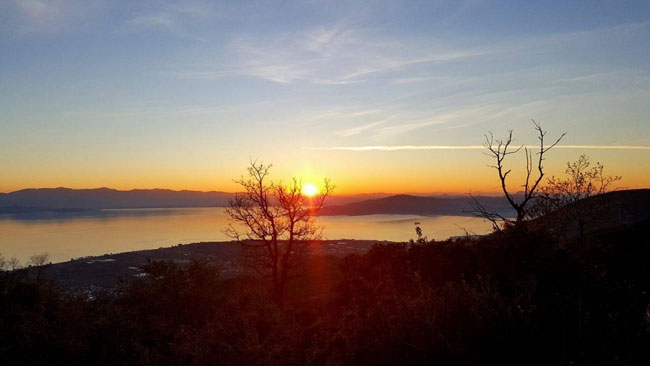 enallaktika.gr