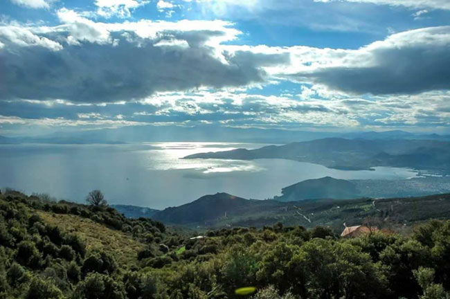 enallaktika.gr