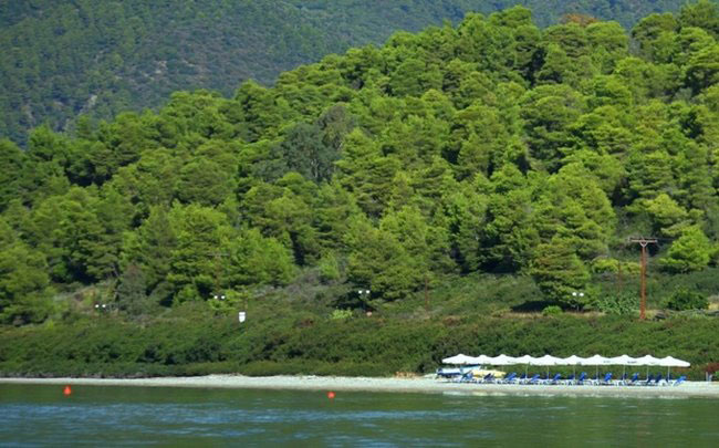 enallaktika.gr