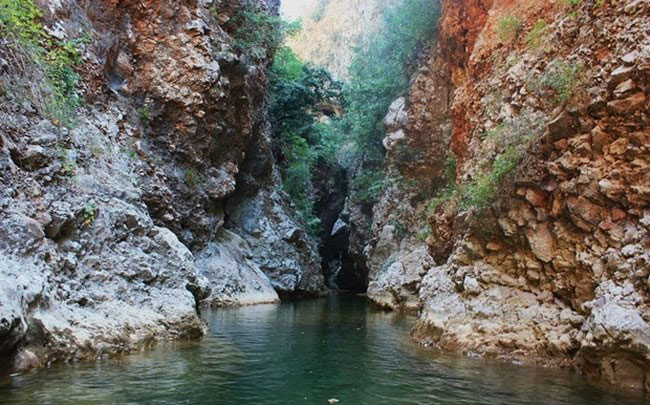 enallaktika.gr