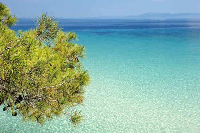 enallaktika.gr