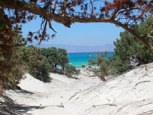 enallaktika.gr